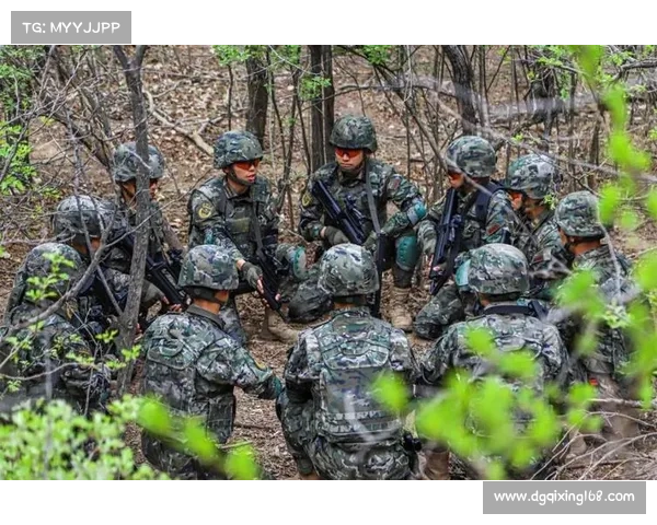 五种位面精华在实战中的创新应用与战术解析