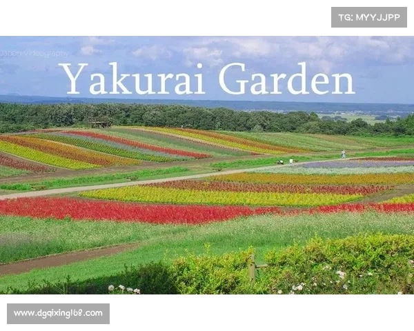 探索虹色世界的奇妙奥秘与自然之美的神秘规律 探索虹色世界的奇妙奥秘与自然之美的神秘规律