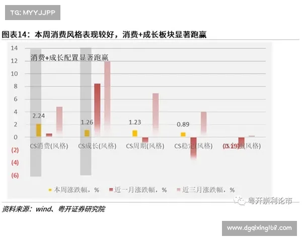 如何推动双羽天下新赛季经济增长及可持续发展战略探讨