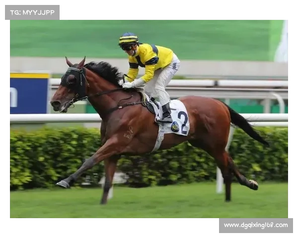 廖锦涛如何崭露头角成为足球中场新星的成长之路